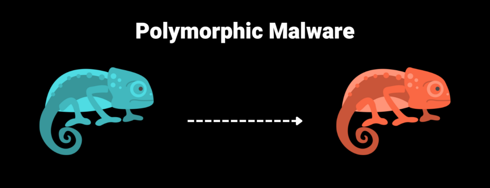 AI Kills Hash Based Detections - Vali Cyber