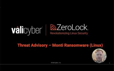 Monti Ransomware vs. Vali Cyber's ZeroLock