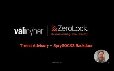 Battling the Unseen: SprySOCKS Backdoor Malware and Vali Cyber's ZeroLock Defense
