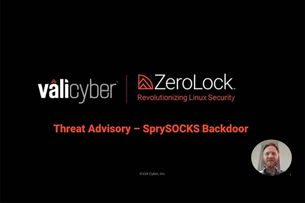 Battling the Unseen: SprySOCKS Backdoor Malware and Vali Cyber’s ZeroLock Defense