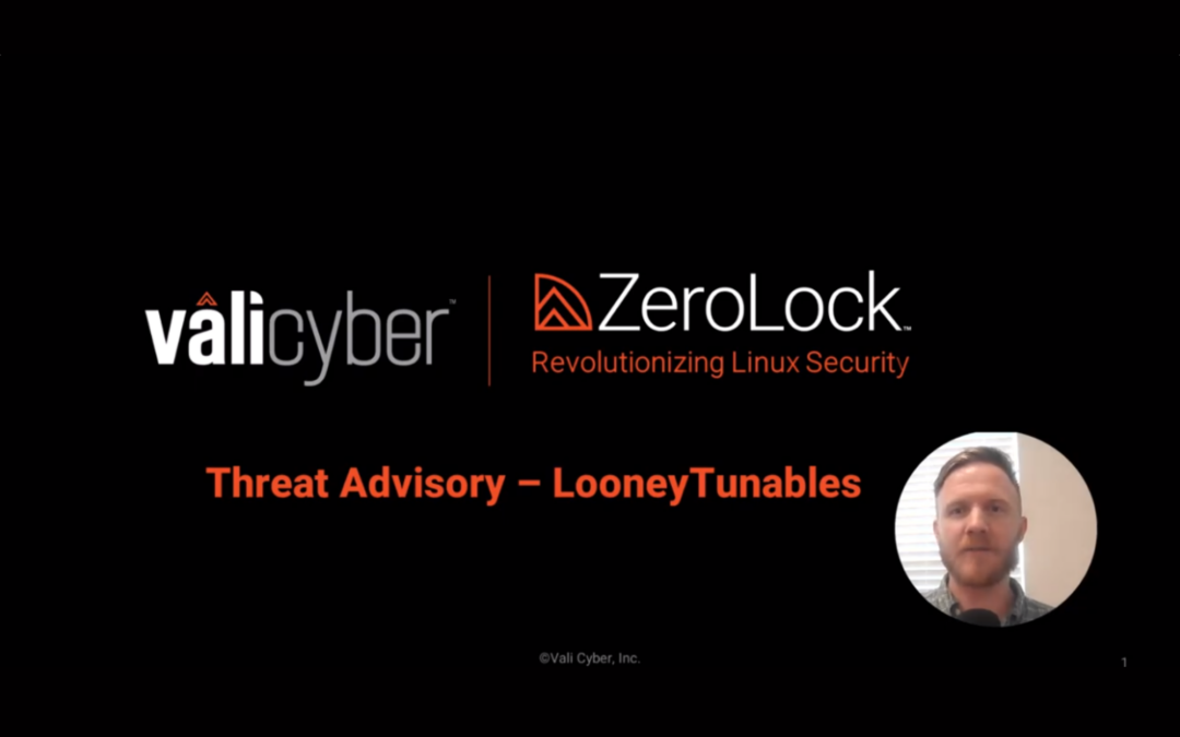 That’s all, Folks! Vali Cyber’s ZeroLock ends Linux Looney Tunables attack