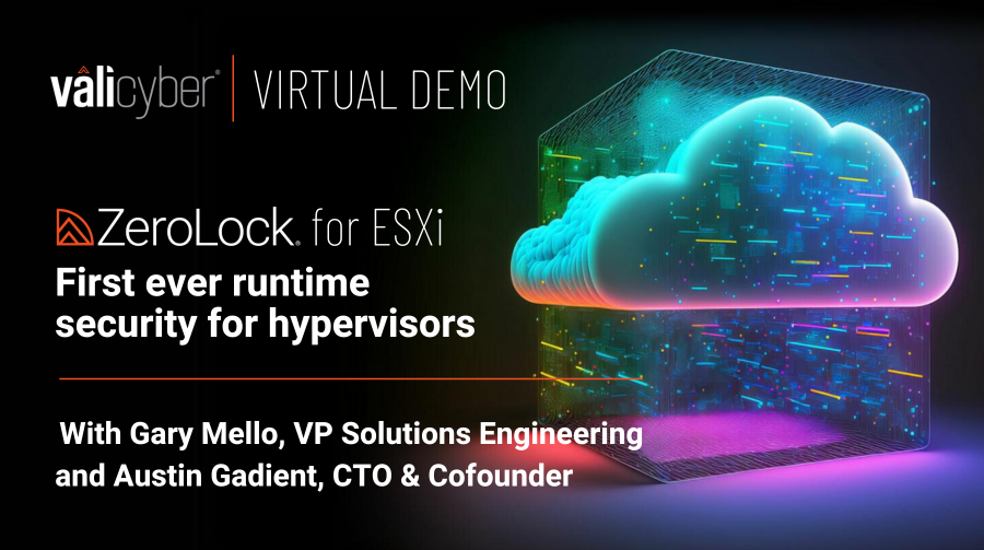 Virtual Demo: ZeroLock for ESXi, the first ever runtime security for hypervisors