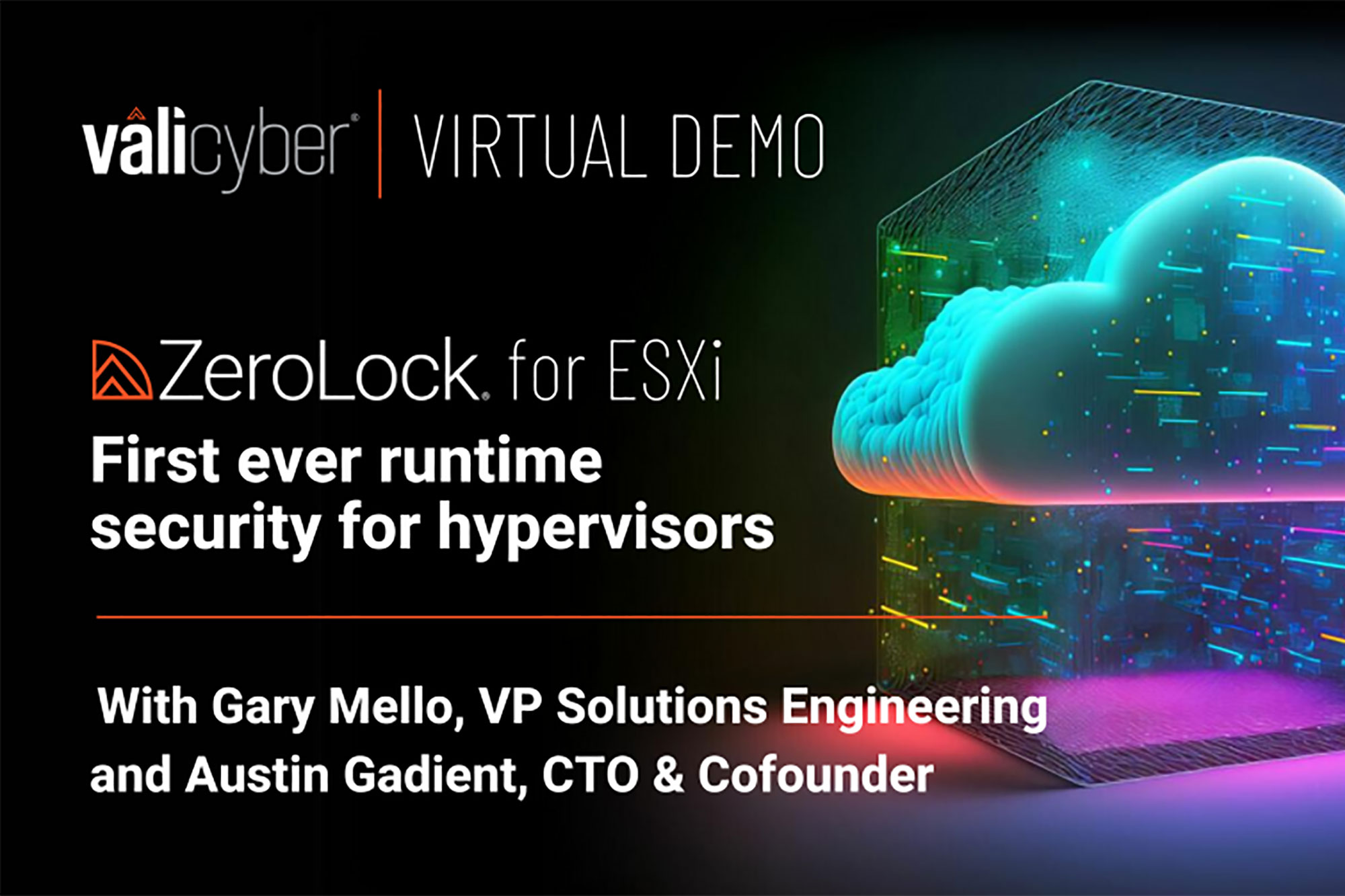 Virtual Demo ESXi