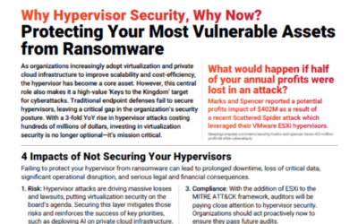 Protecting Your Most Vulnerable Assets from Ransomware