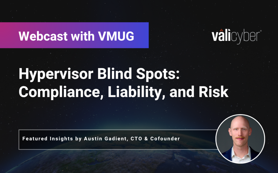 Hypervisor Blind Spots: Compliance, Liability, and Risk